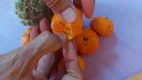 Peel honey oranges Stock-Footage 265588046