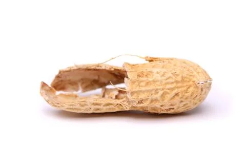 A peel of peanut close-up Stock Photos
