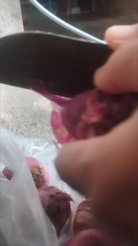 Peel the red onion skin using a knife Stock Footage 291761662