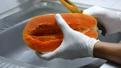 https://images.pond5.com/peel-ripe-papaya-sharp-knife-footage-089224357_iconm.jpeg