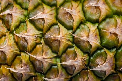 Peel of ripe pineapple macro closeup Stock Photos