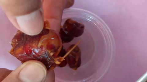 Peel the seeds of the date palm Stock-Footage 264795644