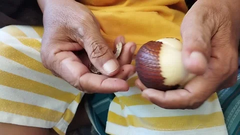 Peel the skin of the snake fruit Stock Footage 229553884