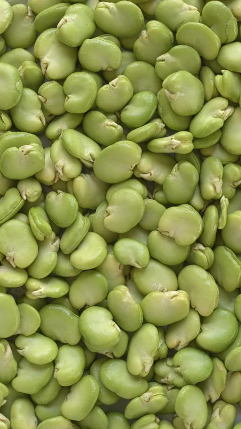 Peeled broad beans background texture. Flat lay. Vertical video. Stock Footage 313835316