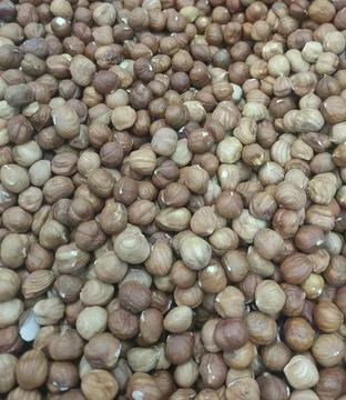 Peeled brown hazelnuts Stock Photos