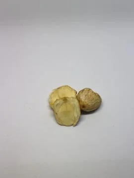 Peeled candlenuts Stock Photos