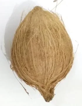 Peeled coconut in the kitchen Stock Photos
