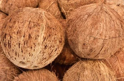 Peeled coconuts on an even surface, stacked in bulk, completely filling the Stock Photos