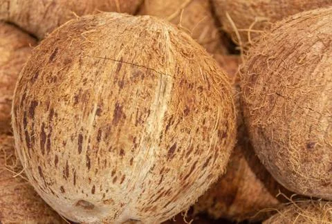 Peeled coconuts on an even surface, stacked in bulk, completely filling the f Stock Photos