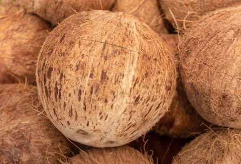 Peeled coconuts on an even surface, stacked in bulk, completely filling the Stock-Fotos