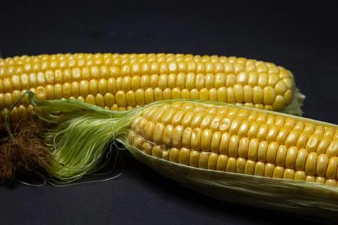 Peeled corn on a black background. Raw fresh corn. Stock Photos