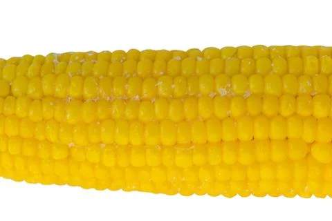 Peeled corn on a light background Stock Photos