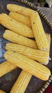 Peeled corn Stock Photos