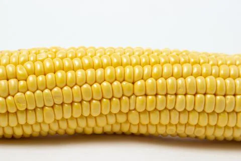 Peeled corn on a white background. Raw fresh corn.  Stock Photos