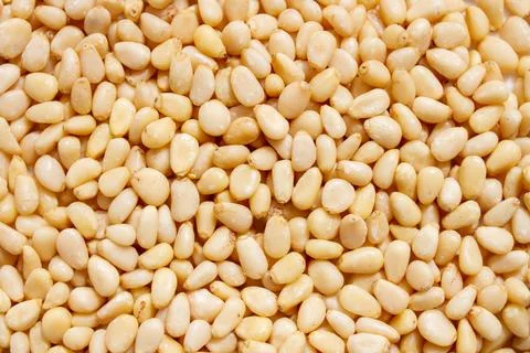 Peeled dried pine nuts like a background. Stock Photos