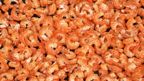 Peeled Dried Shrimp Full Frame Texture Macro Panning Shot 動画素材 337781988