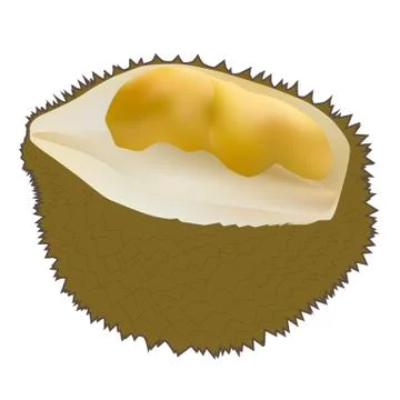 Peeled durian Stock Illustration