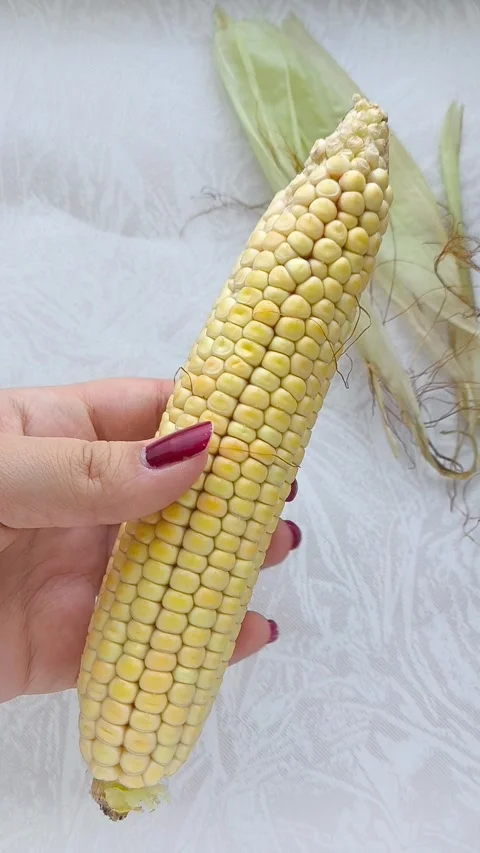 A peeled ear of corn is in a womans hand, and leaves of corn are on the table Stock Footage 316668465