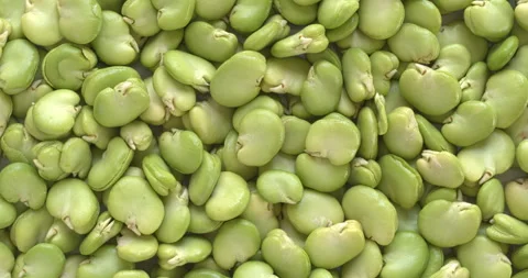 Peeled fava beans background texture. Flat lay. Stock Footage 313835294