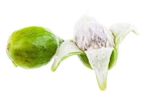Peeled fig Stock Photos