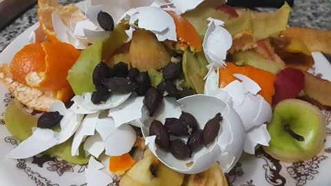 Peeled fruit and egg shells olive seeds garbage Stock Footage 146292683