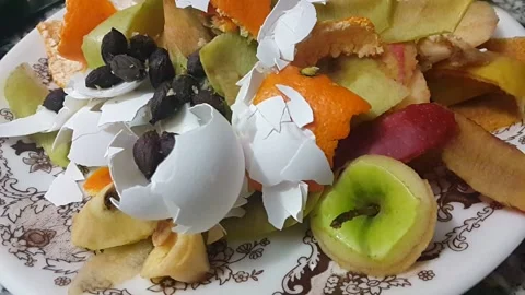 Peeled fruit and egg shells olive seeds garbage Stock Footage 146292693