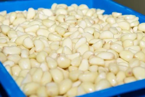 Peeled garlic Stock Photos