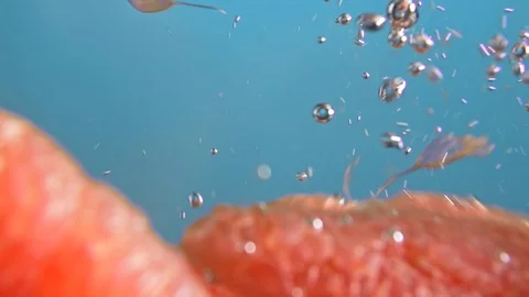 Peeled Grapefruit slices falling in water close up Stock-Footage 122257201