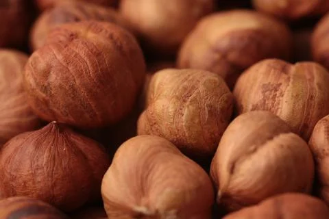 Peeled hazelnut kernels close up Stock Photos