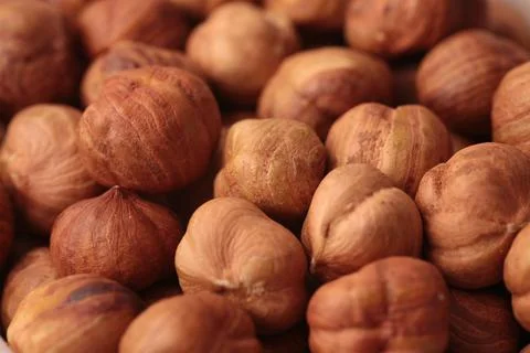 Peeled hazelnut kernels close up 스톡 사진
