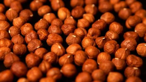 Peeled hazelnut kernels Stock Photos