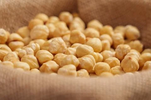 Peeled hazelnut kernels on a rough burlap cloth. Shelled filbert nuts. Stock Photos