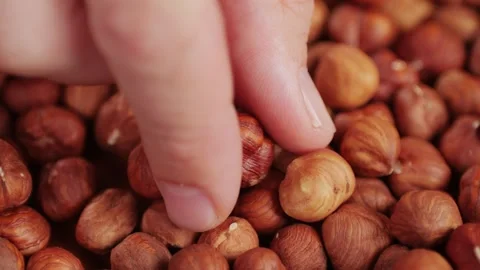 Peeled hazelnut on red plate close-up macro. Hazelnuts without shell. Product Stock Footage 258371813