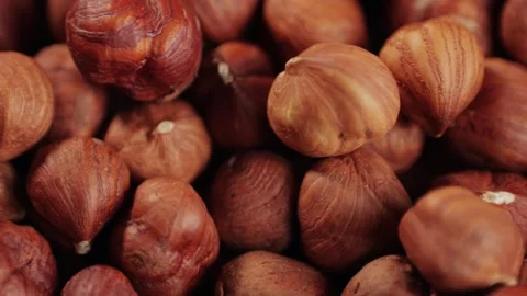 Peeled hazelnut on red plate rotating close-up macro. Hazelnuts without shell Stock Footage 257084227
