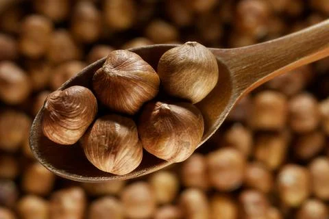 Peeled hazelnuts. Hazelnut kernels lie in wooden spoon. Top view of nuts close Stockfoto's