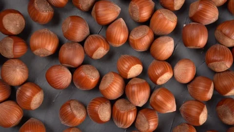 Peeled hazelnuts pattern, top view. Bio nuts. Stock Footage 167567986