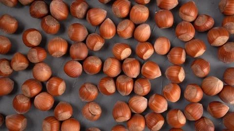 Peeled hazelnuts pattern, top view. Bio nuts on gray background. Stock Footage 167567990