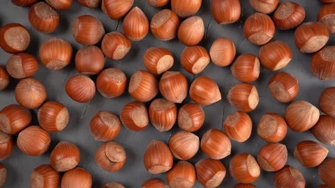 Peeled hazelnuts pattern, top view. Bio nuts on gray background. Stock Footage 167567993