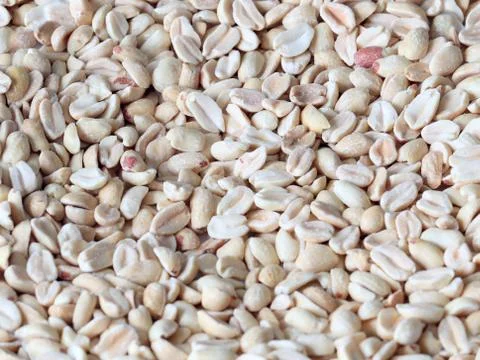 Peeled hazelnuts peanuts Stock Photos