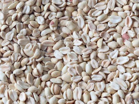 Peeled hazelnuts peanuts Stock Photos