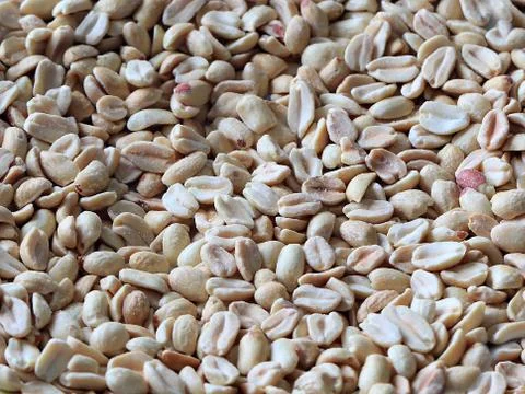 Peeled hazelnuts peanuts Stock Photos