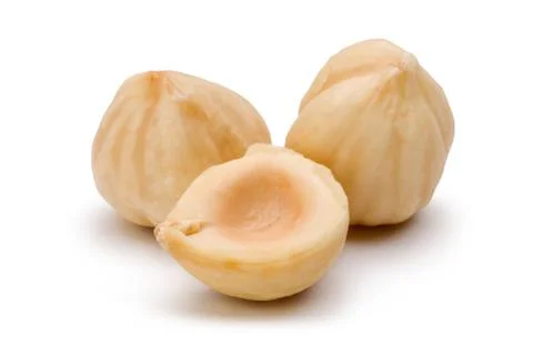 Peeled hazelnuts on white background Stock Photos