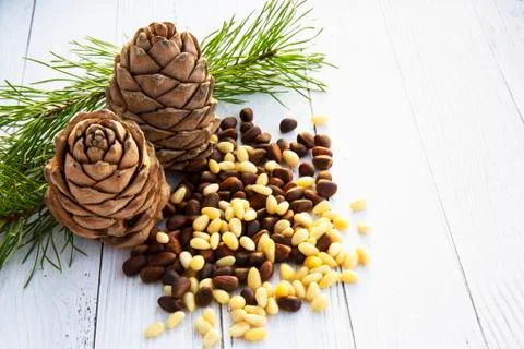 Peeled kernels of cedar nuts in a spoon, two pine cones, green branches Stock Photos