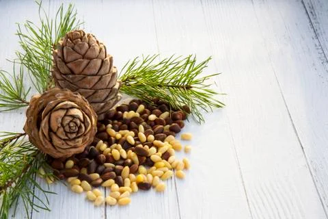 Peeled kernels of cedar nuts in a spoon, two pine cones, green branches Stock Photos