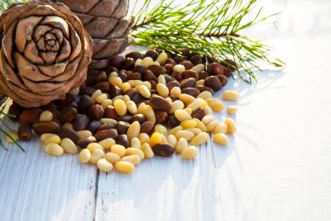Peeled kernels of cedar nuts in a spoon, two pine cones, green branches Stock Photos