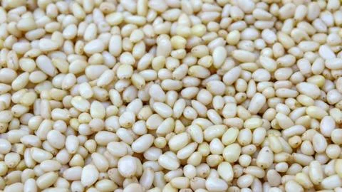 Peeled kernels of pine nuts Foto stock