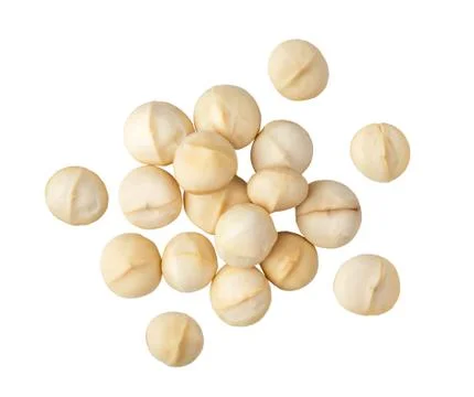 Peeled Macadamia nut on a white background. top view Stock Photos