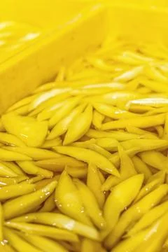 Peeled mango fruit processing at food production factory in cambodia Stock Photos