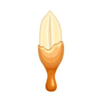 Peeled peanut in liquid caramel. Nutritious natural sweet dessert vector Stock Illustration