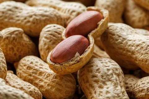 Peeled peanut on well peanuts. Peanuts, for background or textures. Stock Photos